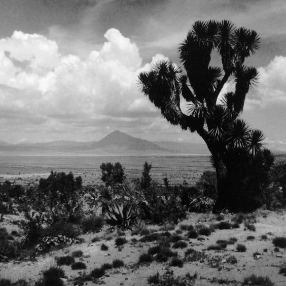 Paisaje del altiplano. © Herederos de Juan Rulfo